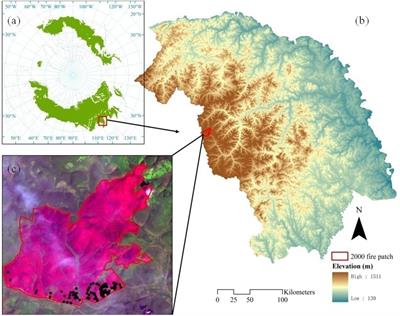 Does Environment Filtering or Seed Limitation Determine Post-fire Forest Recovery Patterns in Boreal Larch Forests?